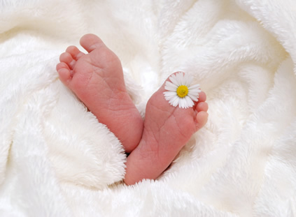 Babyreflexologie